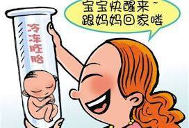 胚胎实验室主任